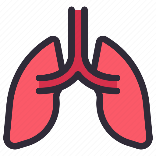Lungs, breath, organ, anatomy, medical icon - Download on Iconfinder