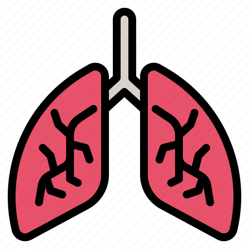 Medicine, lungs, breath, anatomy, healthcare, lung icon - Download on Iconfinder