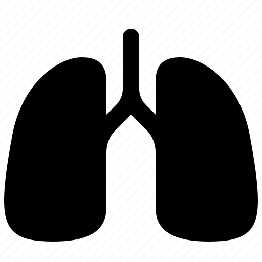 Biology, body, health, lung, medical, medicine, smoke icon - Download on Iconfinder