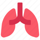 lungs, breath, organ, anatomy, medical