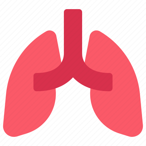 Lungs, breath, organ, anatomy, medical icon - Download on Iconfinder