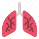 medicine, lungs, breath, anatomy, healthcare, lung