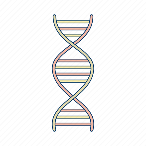 Dna, helix, genetics icon - Download on Iconfinder