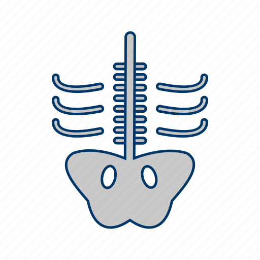 Bone, skeleton, x ray icon - Download on Iconfinder