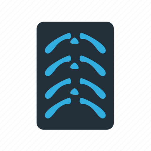 Ray, x, bones, checkup, x ray icon - Download on Iconfinder