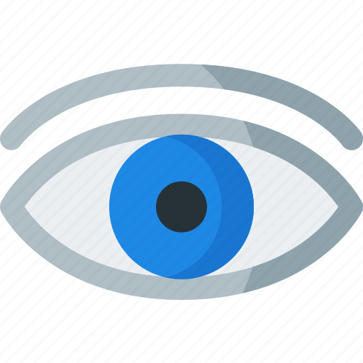 Eye, explore, find, glass, see, view, vision icon - Download on Iconfinder