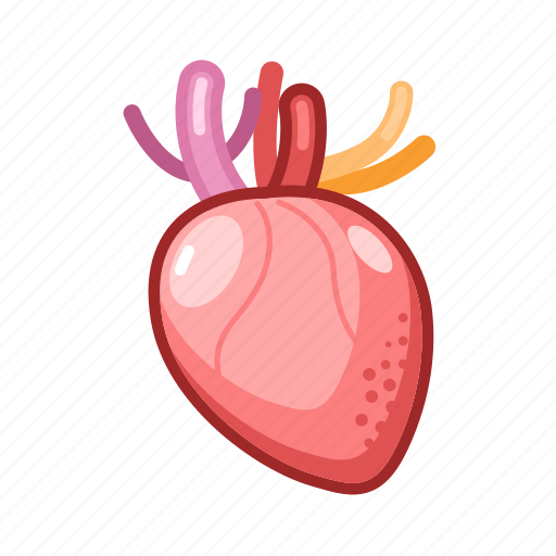 Medical, heart, healthcare, health icon - Download on Iconfinder