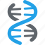 dna, genetics, genome, science 