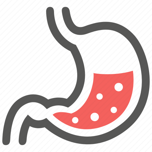 Gastroenterology, digestion, stomach icon - Download on Iconfinder