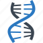 dna, genetics, genome, science 
