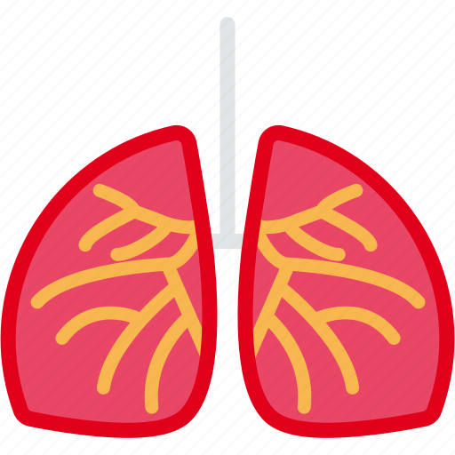 Lungs, anatomy, health, patient, respiratory icon - Download on Iconfinder