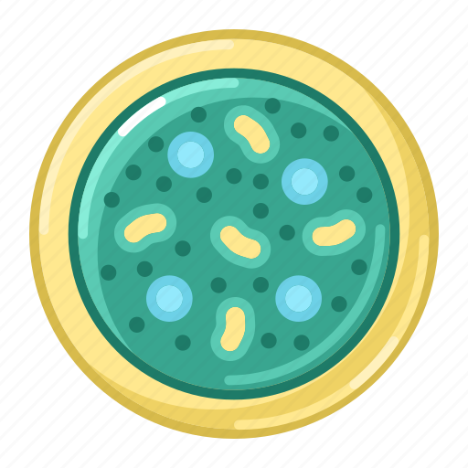 Bacteria, medicine, healthcare, pharmacy icon - Download on Iconfinder