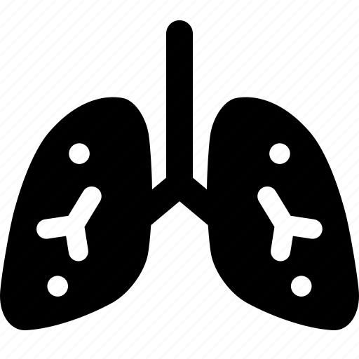 Lungs, healthcare and medical, pulmonary, respiratory system, body organ, breath, lung icon - Download on Iconfinder