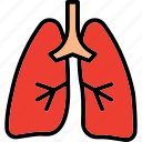 lungs, healthcare, anatomy, organ, medical virus