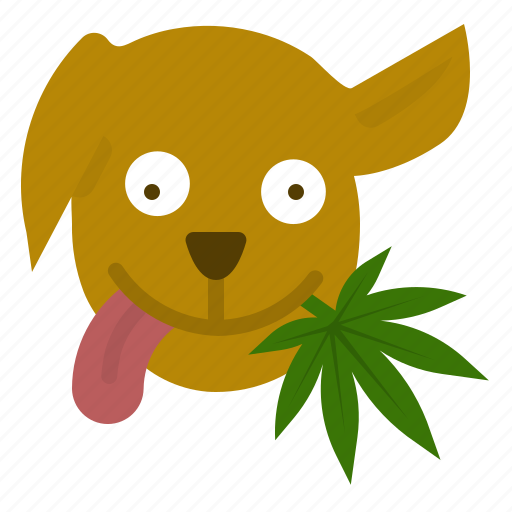 Animal, cannabis, dog, good, marijuana, treat, weed icon - Download on Iconfinder