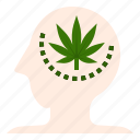 brain, effect, marijuana, medication, pain, target