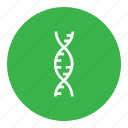 chromosome, dna, gene, genetic, genome, heredity, science