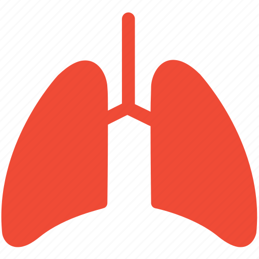 Anatomy, breathe, lungs, medical icon - Download on Iconfinder