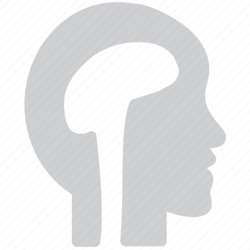 Brain, head, human, mind icon - Download on Iconfinder
