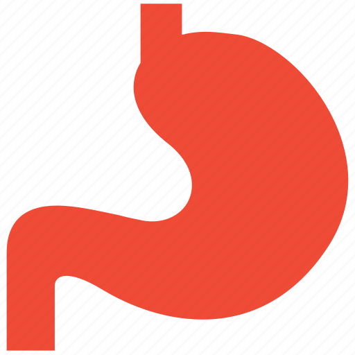 Stomach, body, medical, organ icon - Download on Iconfinder
