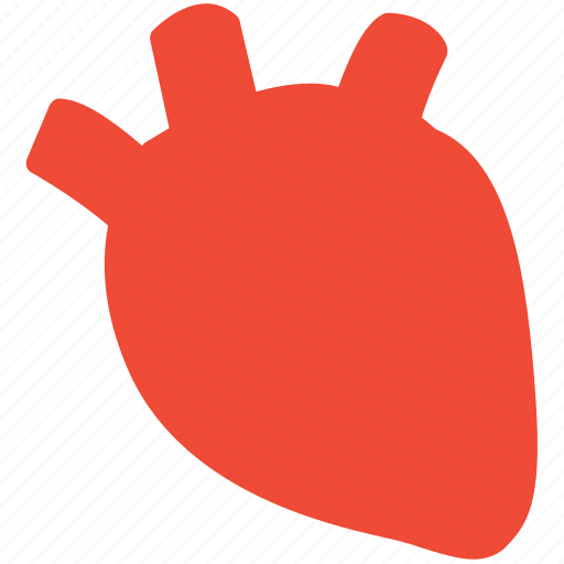 Heart, human organ, medical care, organ icon - Download on Iconfinder