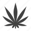 cannabis, herb, medicinal, plant 