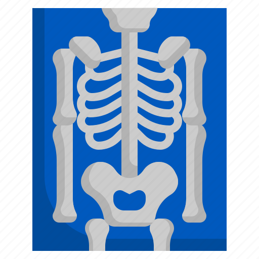 X, ray, medical, skeleton, bones, anatomy icon - Download on Iconfinder
