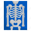 x, ray, medical, skeleton, bones, anatomy 