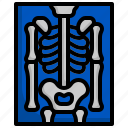 x, ray, medical, skeleton, bones, anatomy