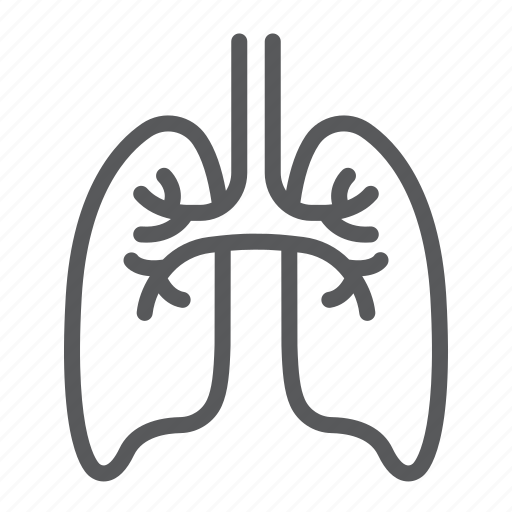 Anatomy, biology, health, human, lungs, organ, pulmonology icon - Download on Iconfinder