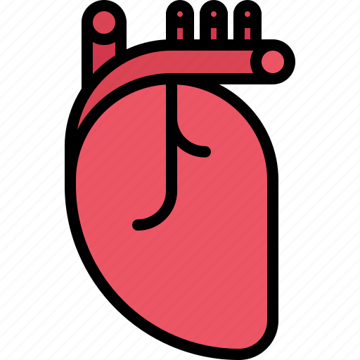 Heart, medical, medicine, organ, pharmacy, treatment icon - Download on Iconfinder