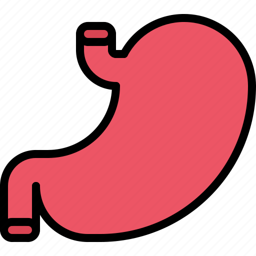 Medical, medicine, organ, pharmacy, stomach, treatment icon - Download on Iconfinder