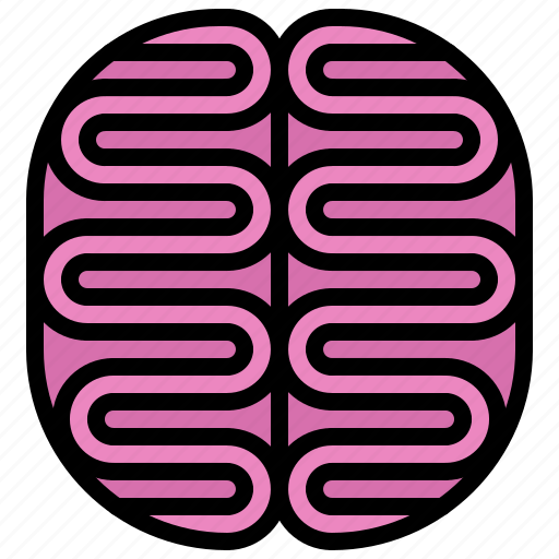 Brain, medical, medicine, organ, pharmacy, treatment icon - Download on Iconfinder