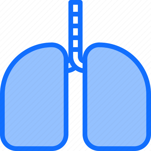 Lungs, medical, medicine, organ, pharmacy, treatment icon - Download on Iconfinder
