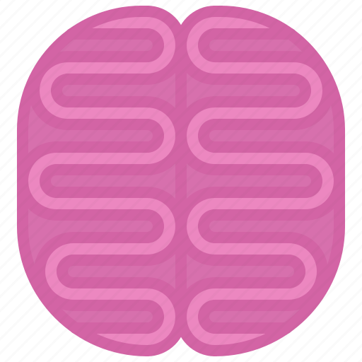 Brain, medical, medicine, organ, pharmacy, treatment icon - Download on Iconfinder