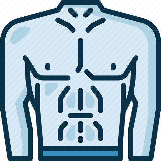 Abs, muscle, gym, abdomen, body, strong, wellness icon - Download on Iconfinder