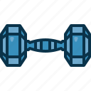 dumbbell, exercise, training, gym, fitness, weight