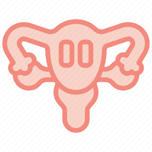 Women, menopause, menopausal, menstrual, fertility, cycle, awareness icon - Download on Iconfinder