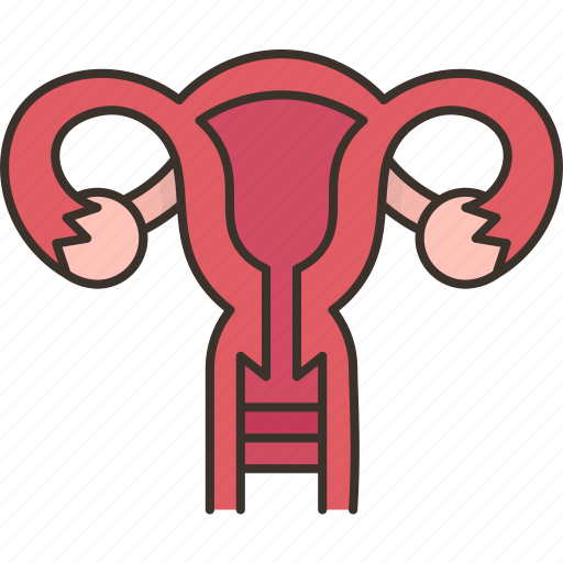 Uterus, gynecology, reproductive, woman, health icon - Download on Iconfinder