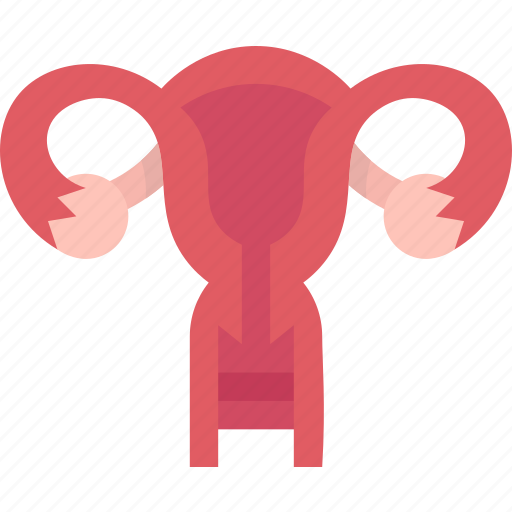 Uterus, gynecology, reproductive, woman, health icon - Download on Iconfinder