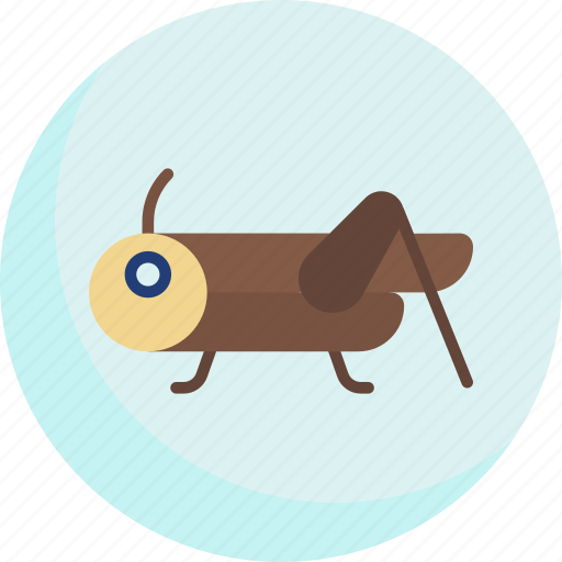 Chapulin, insect, bug, mexico, animals, mexican icon - Download on Iconfinder