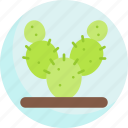 prickly, pear, cactus, botanical, plant, nature, food