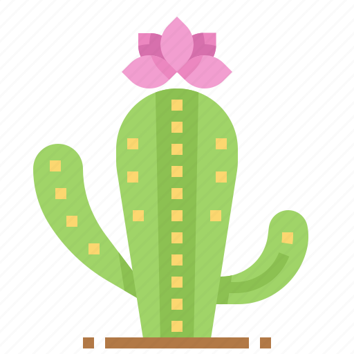 Cactus, desert, mexico, plant icon - Download on Iconfinder