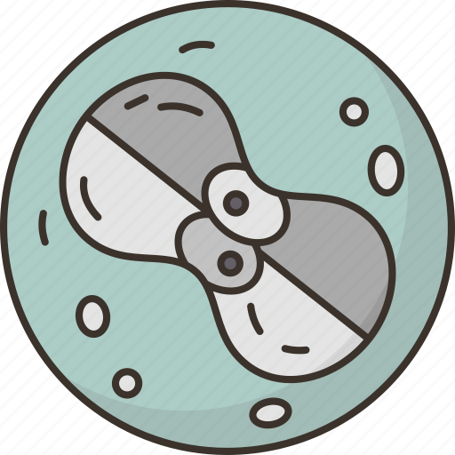 Cell, division, mitosis, nucleus, reproduction icon - Download on Iconfinder