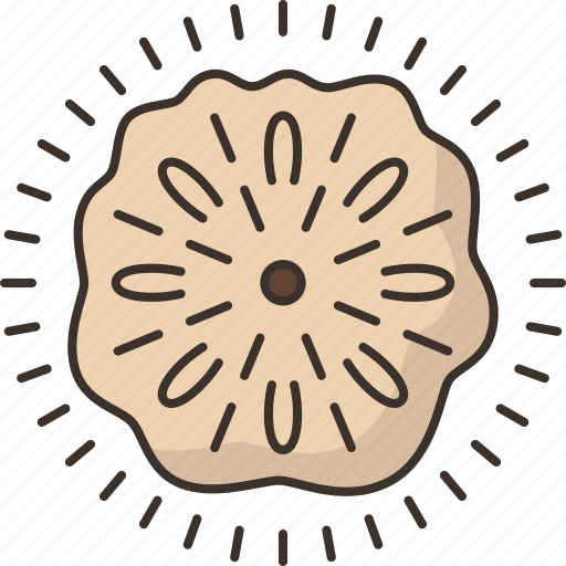 Mold, fungus, spores, microbial, biology icon - Download on Iconfinder