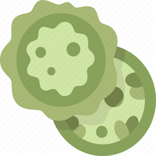 Algae, cell, chlorophyll, photosynthesis, microscopic icon - Download on Iconfinder