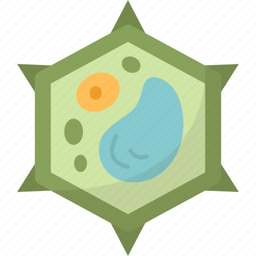 Cell, wall, plant, structure, anatomy icon - Download on Iconfinder
