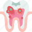 decay, tooth, infection, inflammation, dentistry 