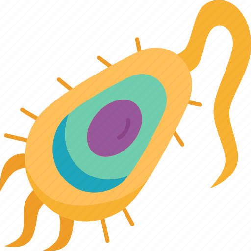 Prokaryote, plasmid, flagellum, microorganism, biology icon - Download on Iconfinder