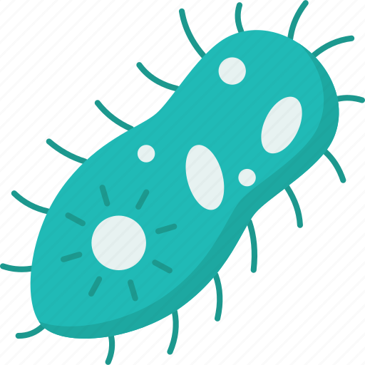 Protozoa, unicellular, cell, organism, microbiology icon - Download on Iconfinder